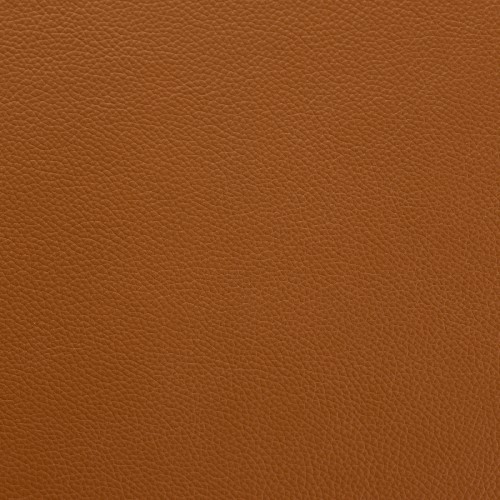 The vibrant range has been produced with a pigmented topcoat and embossed with an attractive grain print to enhance its character. Providing outstanding durability and stain resistance, this multipurpose leather is suitable for all types of upholstery including heavy duty applications.